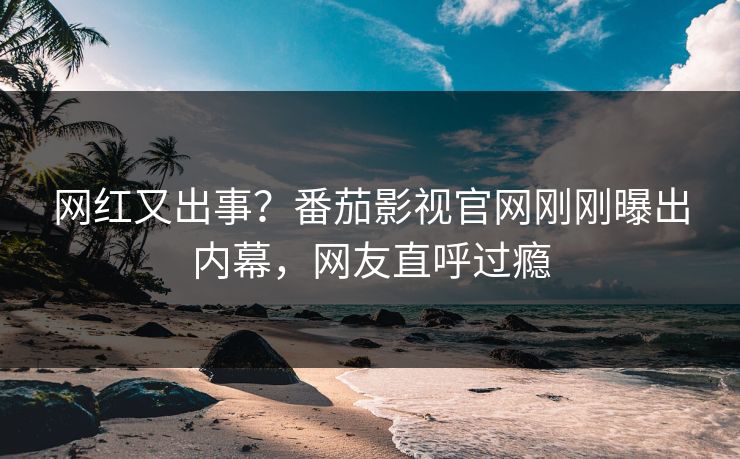 网红又出事？番茄影视官网刚刚曝出内幕，网友直呼过瘾