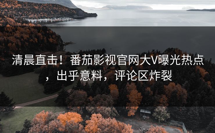 清晨直击！番茄影视官网大V曝光热点，出乎意料，评论区炸裂