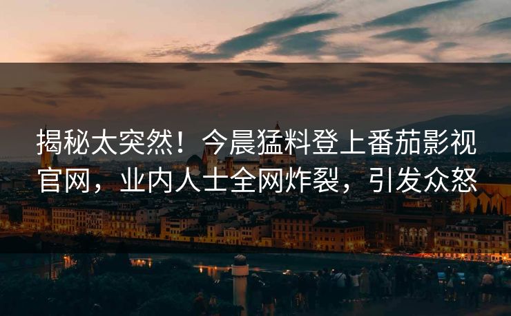 揭秘太突然！今晨猛料登上番茄影视官网，业内人士全网炸裂，引发众怒