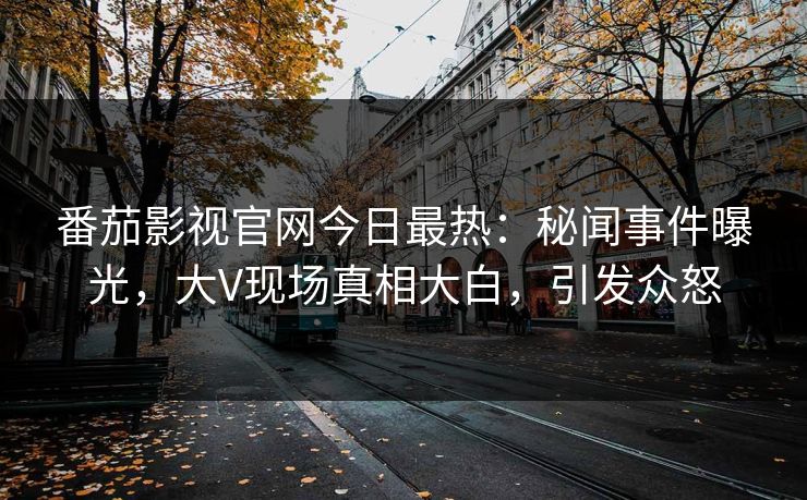 番茄影视官网今日最热：秘闻事件曝光，大V现场真相大白，引发众怒